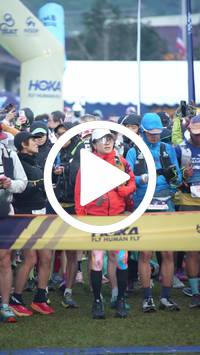 BIB:  <button type="button" onclick="openModal(26562641)" class="btn btn-primary btn-sm float-right" data-toggle="modal" data-target=".modal-high-quality">
                <i class="fa fa-download"></i> Download
                </button>